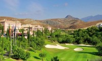 flamingos  golf club